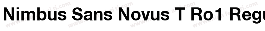 Nimbus Sans Novus T Ro1 Regular Ita字体转换
